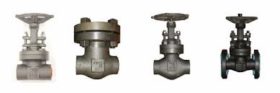 Vogt: Gate, Globe & Check Valves