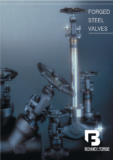 Bonney Forge Gate, Globe & Check Valves